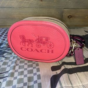 Camera Bag In Colorblock With Horse And Carriage 💓